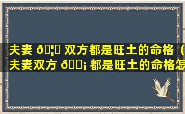 夫妻 🦋 双方都是旺土的命格（夫妻双方 🐡 都是旺土的命格怎么化解）